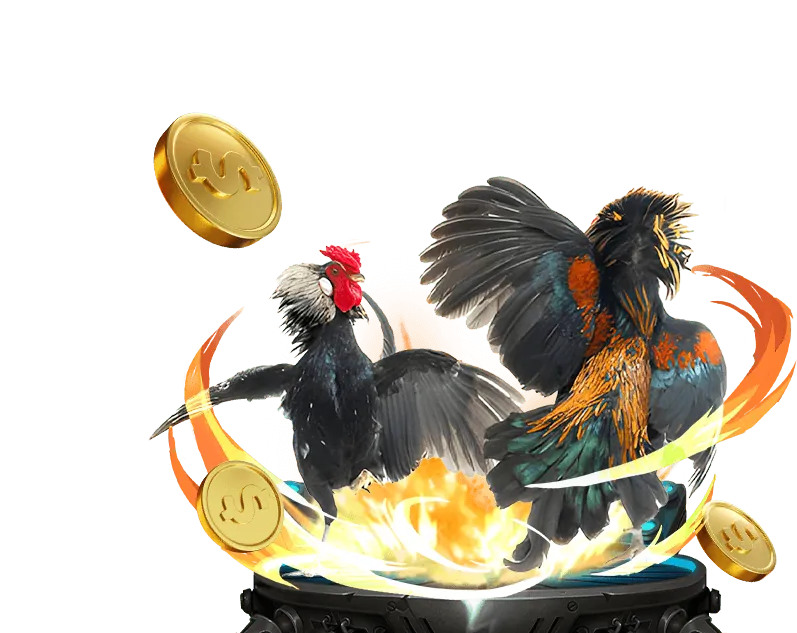 Tại sao chọn đá gà sv388 gold